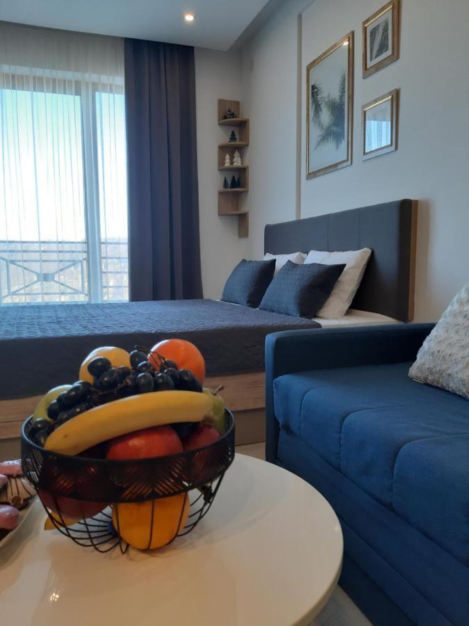 Dream Milmari L12 Apartman Kopaonik Zewnętrze zdjęcie