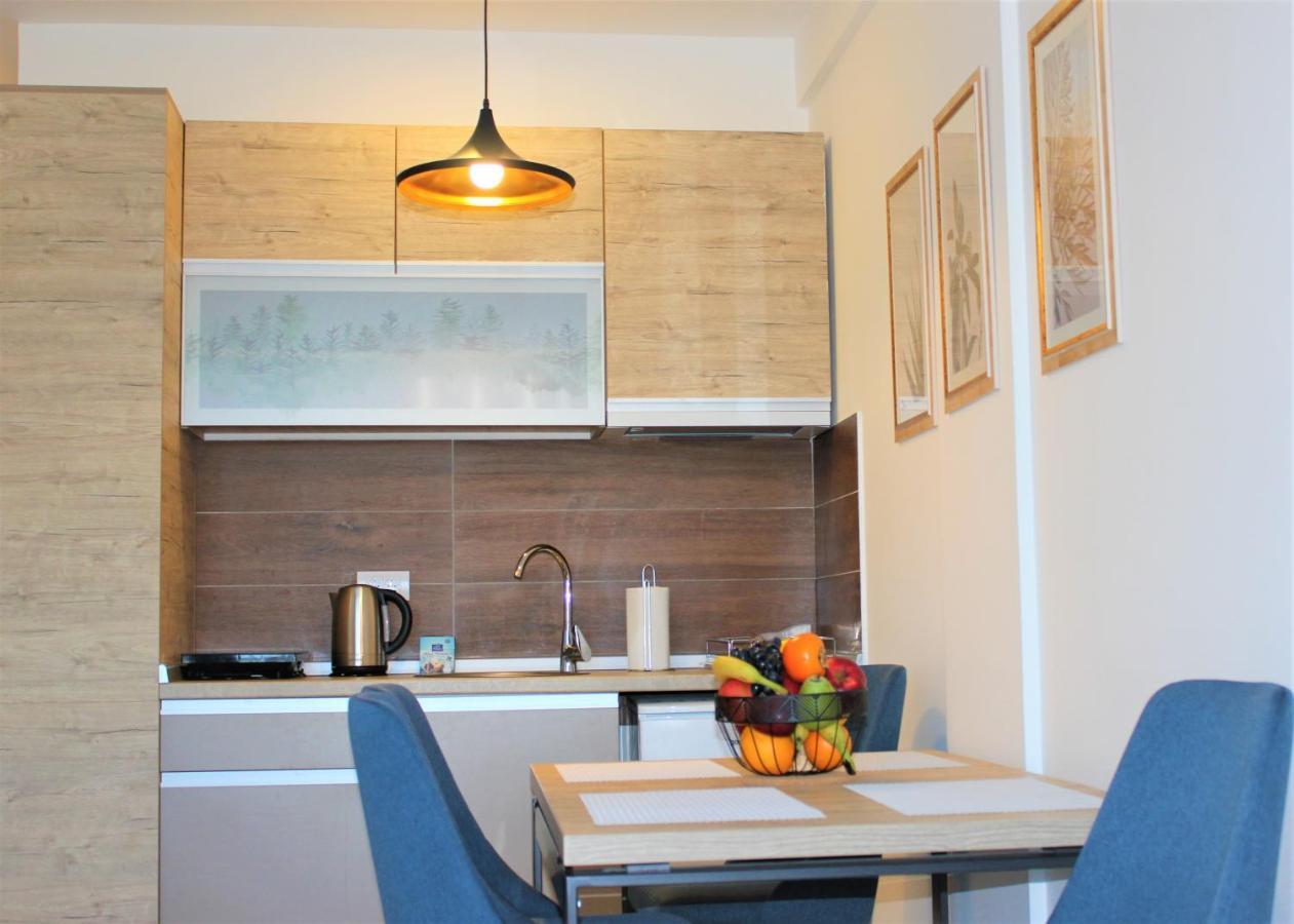 Dream Milmari L12 Apartman Kopaonik Zewnętrze zdjęcie