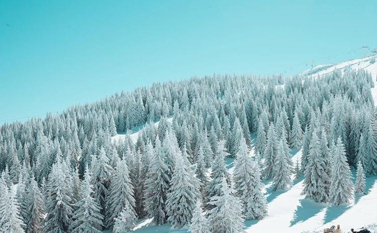 Dream Milmari L12 Apartman Kopaonik Zewnętrze zdjęcie